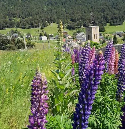 Calsimunot Casa vacanze *